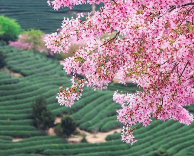 万游纪-福建