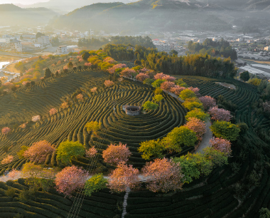 万游纪-福建