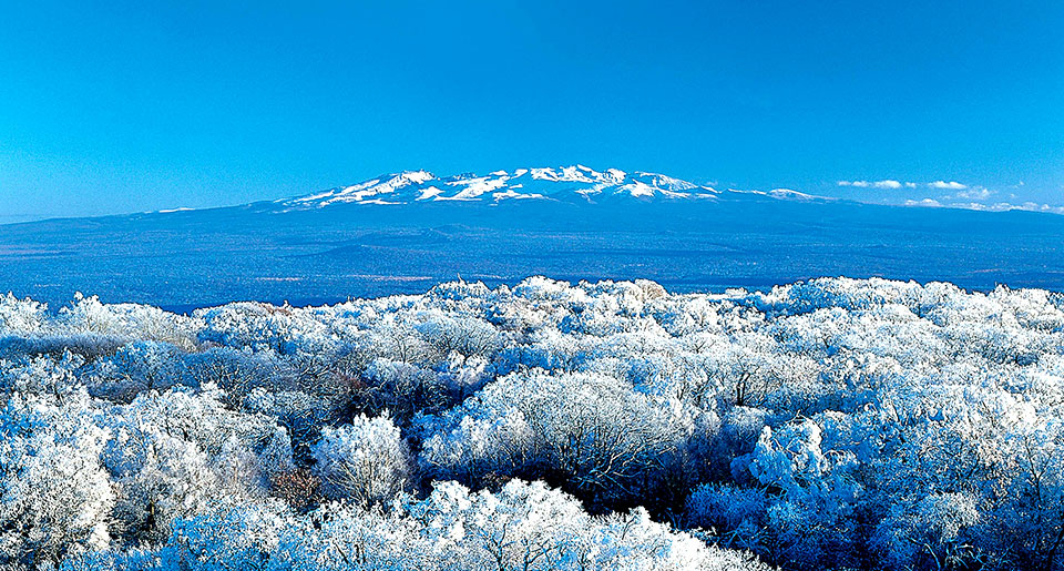 万达长白山国际度假区冬季美景
