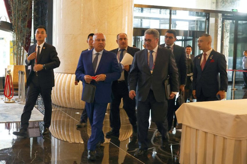 埃及总统特使、副总理瓦奇尔