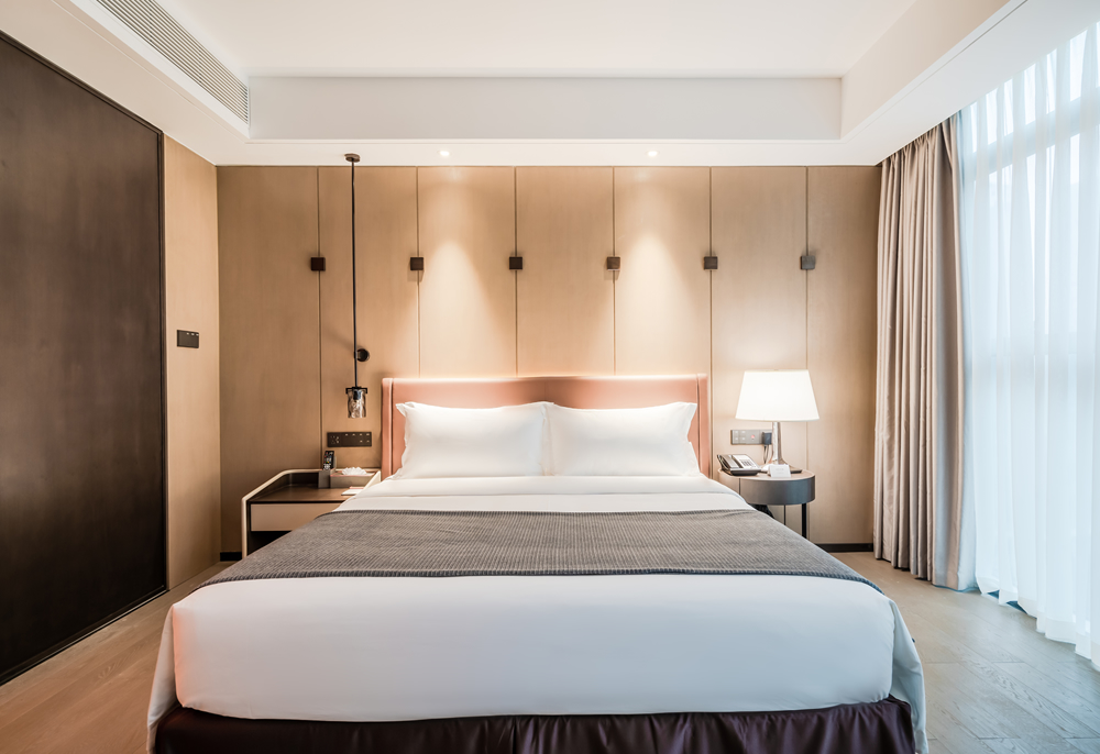 一居室豪华公寓套房